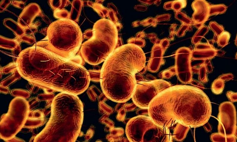 Bakterien, die infektiöse Prostatitis verursachen